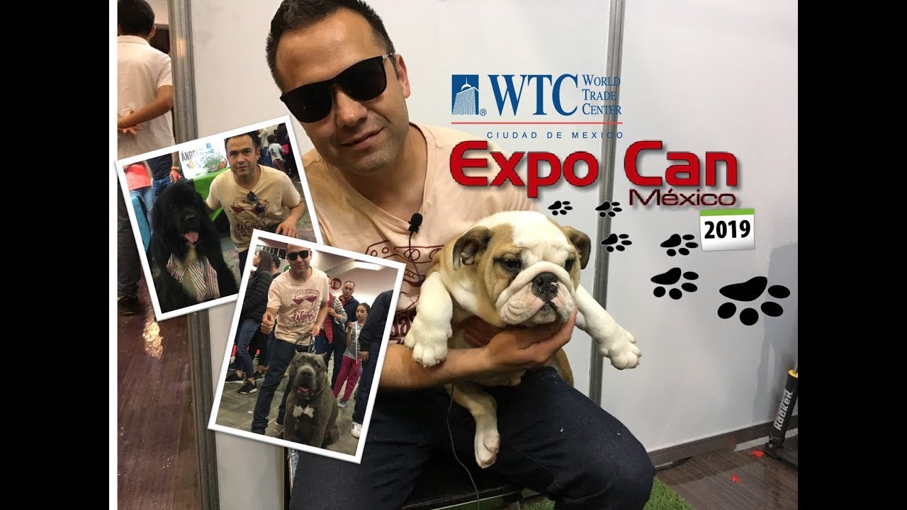 EXPOCAN MEXICO 2019 WTC