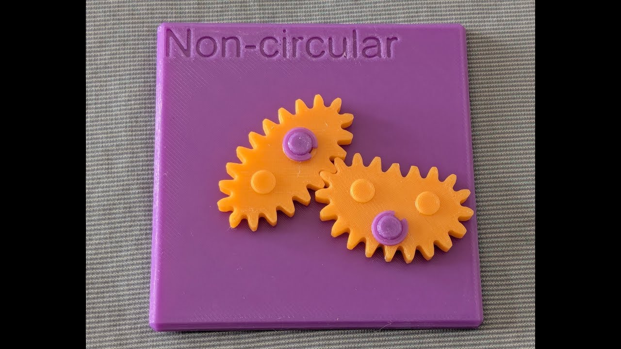 Non-circular Gear - Educational Model