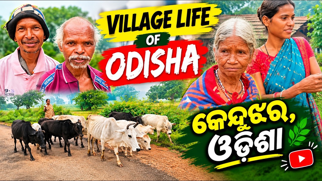 କଂସ ଗ୍ରାମ || କେନ୍ଧୁଝର ଓଡିଶା || Village Life of Odisha || Help India Odisha 