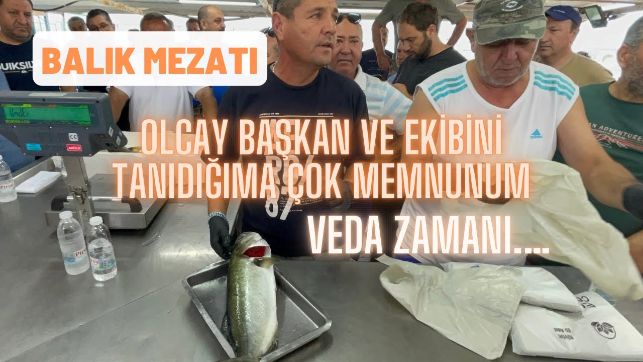 Efsane Fiyat Artıştı Efsane Başkan Mavişehir Balık Mezatı 23.06.2024