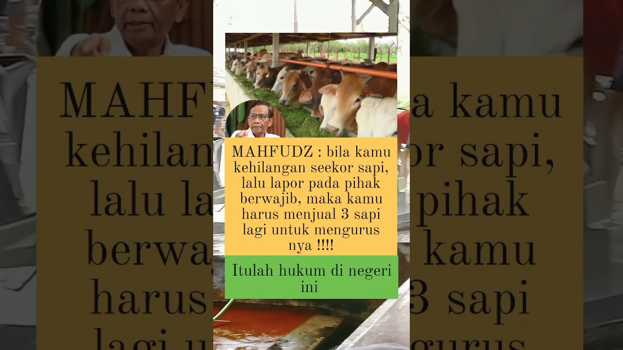 MAHFUDZ MD #shorts #short #beritaterkini #update #news #berita #berita #kabarterbaru #indonesia