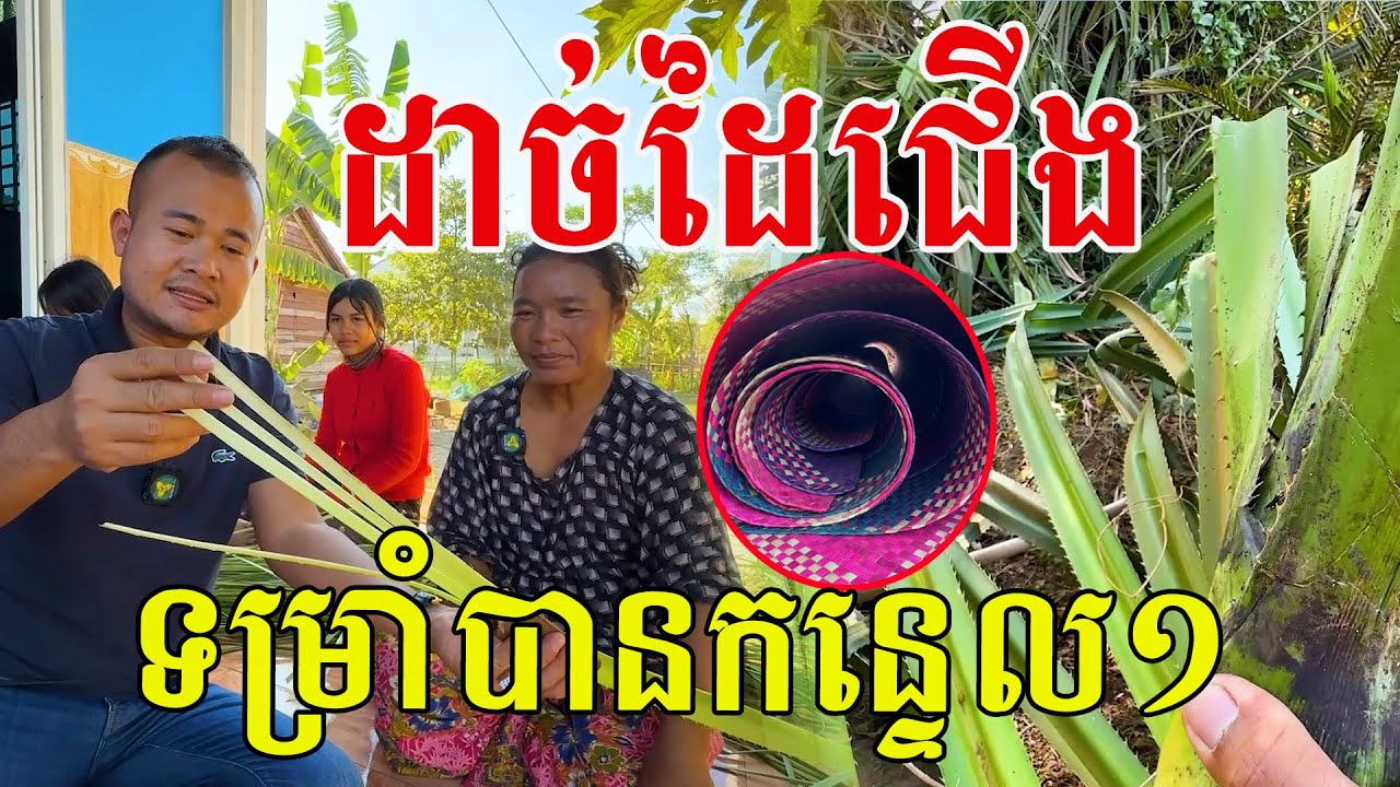 ម្ចាស់ថ្លៃ ទម្រាំបានកន្ទេល១ ស្តាប់ហើយចង់វិលមុខ