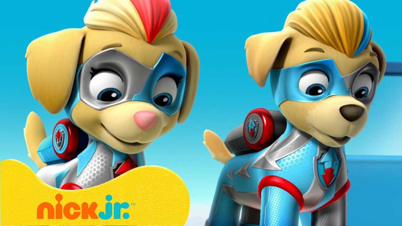 Patrulha Canina | O Melhor dos Super Gêmeos da Patrulha Canina! 🐶 | Nick Jr. em Português