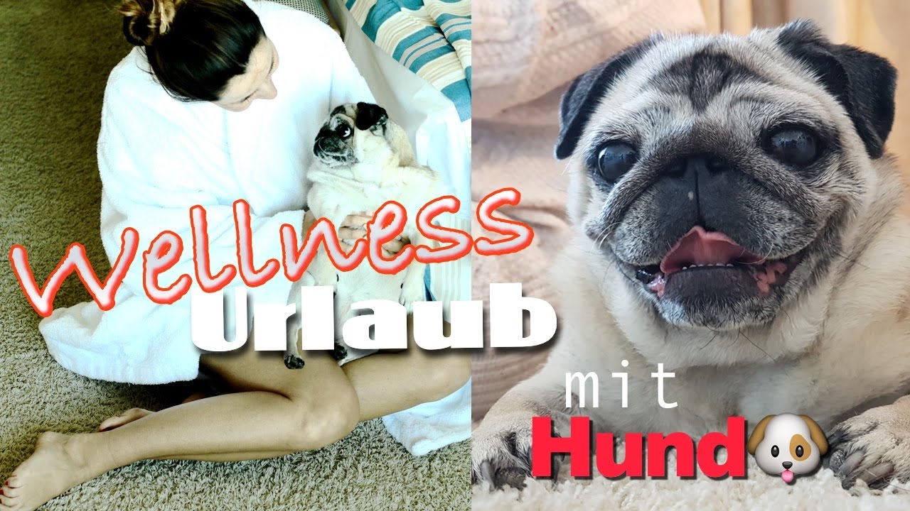 Wellness Urlaub mit Hund
