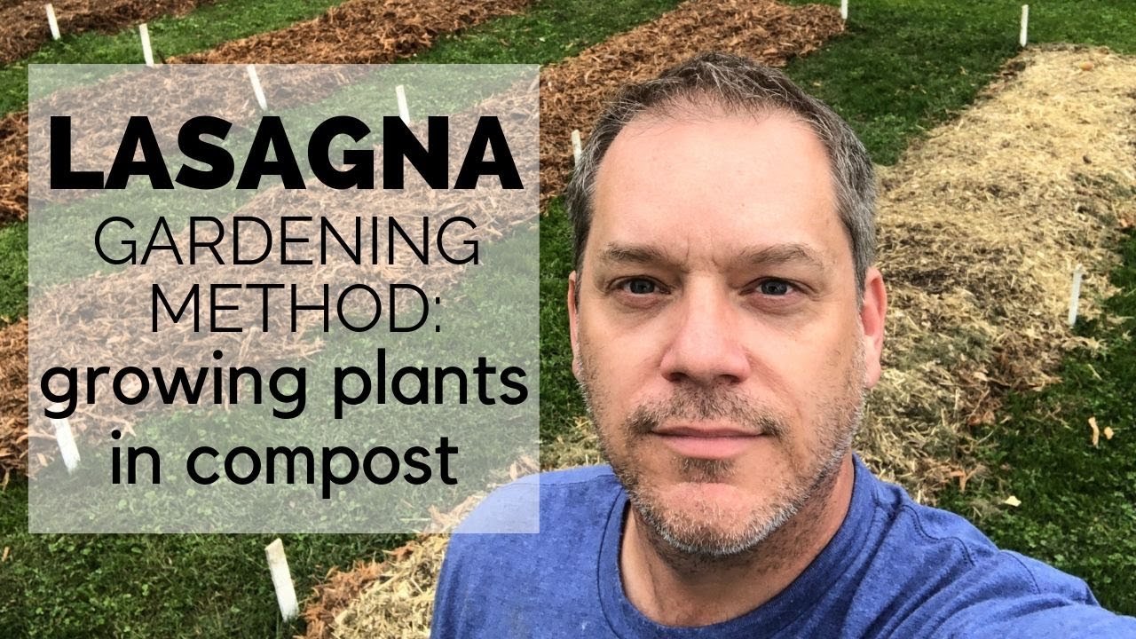 Lasagna Gardening Method: Growing Plants in Compost!