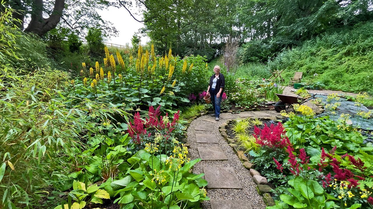 Garden Tour | Summer flowers in the bog garden