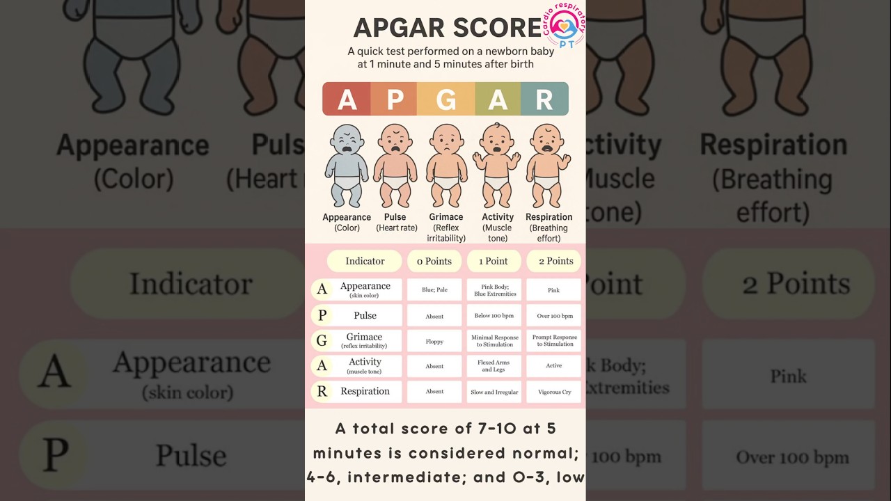 APGAR Score Explained | Newborn Health Check #medicaleducation