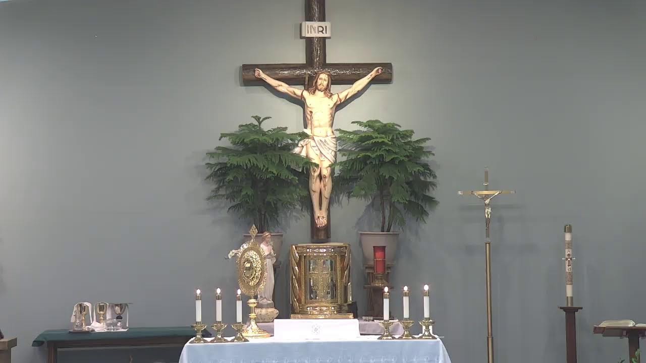 Most Merciful Jesus Catholic Parish Daily Mass - January 30, 2026