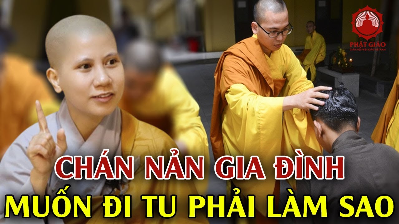 Muốn đi tu vì chán nản hoàn cảnh gia đình phải làm sao? SC Giác Lệ Hiếu trả lời vấn đáp | PGVN