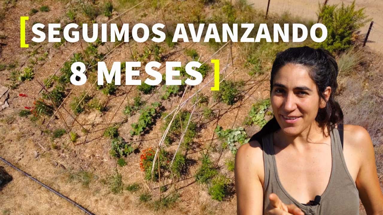 HUERTA y 👩‍🌾 BOSQUES COMESTIBLES en SIMBIOSIS y COOPERACIÓN