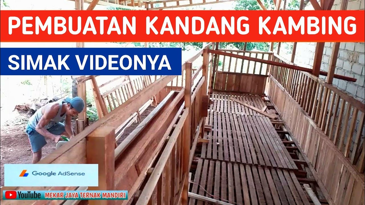 CARA MERAKIT DINDING SEKATAN KANDANG DAN MEMASANG PALUNG PAKAN | ALOUNG ETAWA FARM | LAMPUNG TIMUR