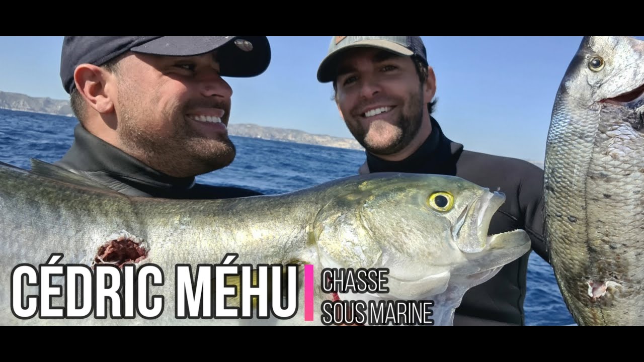 😱 GROS TASSERGAL BARRACUDA ET SAR RECORD À MARSEILLE