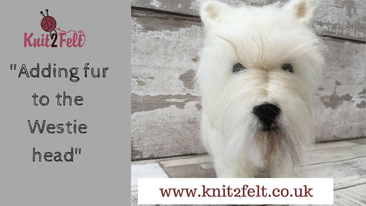 Adding Fur to the Westie Head