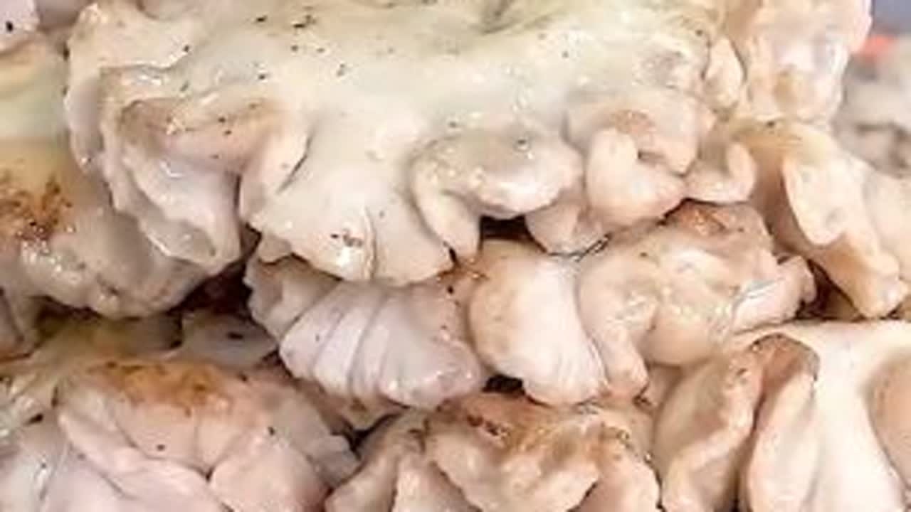 喜欢吃原味的韩式烤肉，那么一定要试试当地的铁板牛杂！ #铁板牛杂 #牛杂 #烤肉 #铁板烧 #地方特色美食