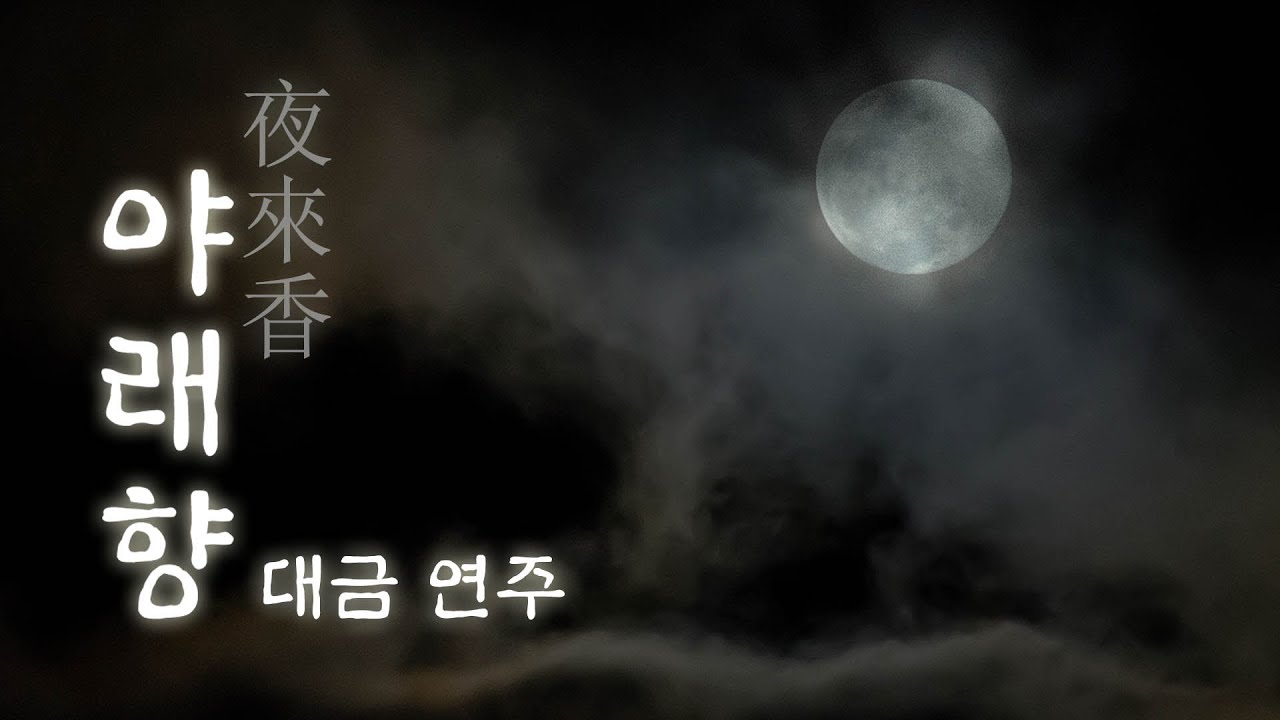 심규선-야래향 [대금버전]
