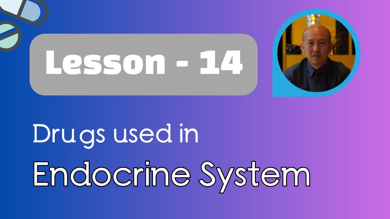 Drugs used in Endocrine System | ဆီးချိုဆေးများအကြောင်း