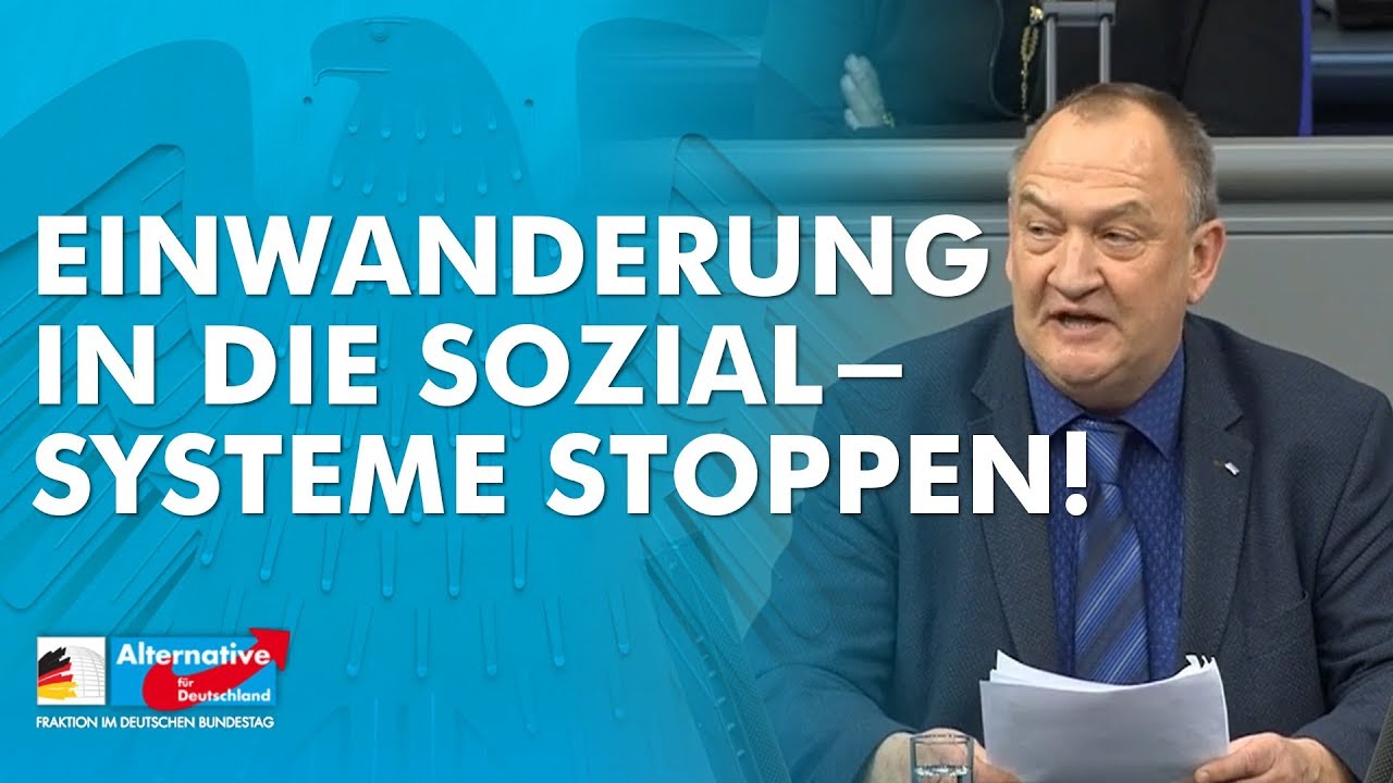 Einwanderung in die Sozialsysteme stoppen! - Prof. Dr. Heiko He&szlig;enkemper - AfD-Fraktion im Bundestag
