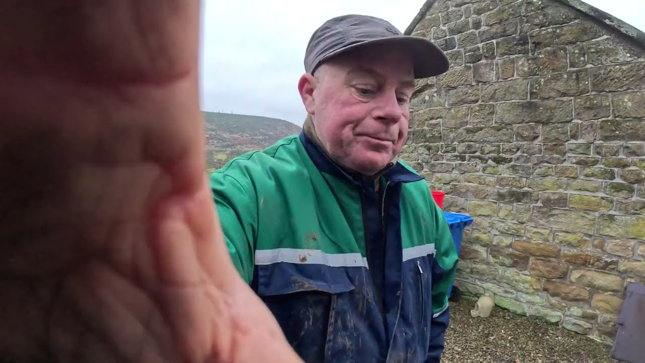 Absolutely loppy but happy as a pig in muck. 