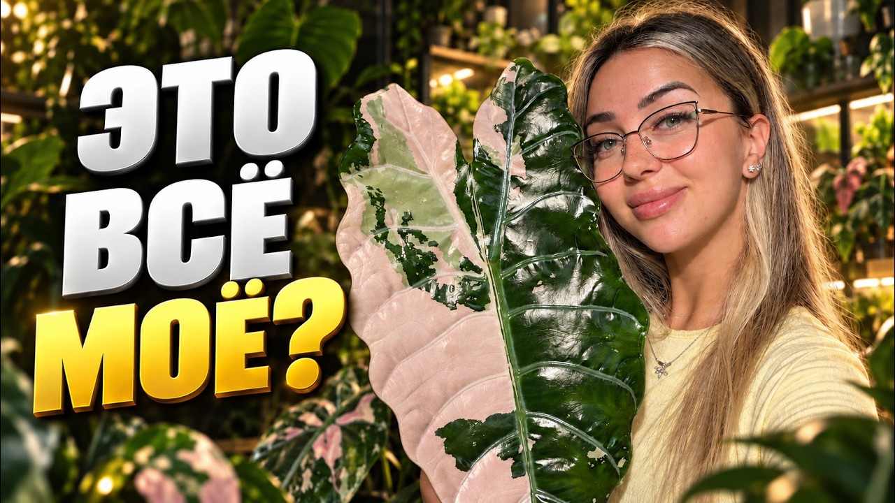 МОЯ КОЛЛЕКЦИЯ ИЗ 200+ РАСТЕНИЙ 🌿 Большой обзор, часть 1.