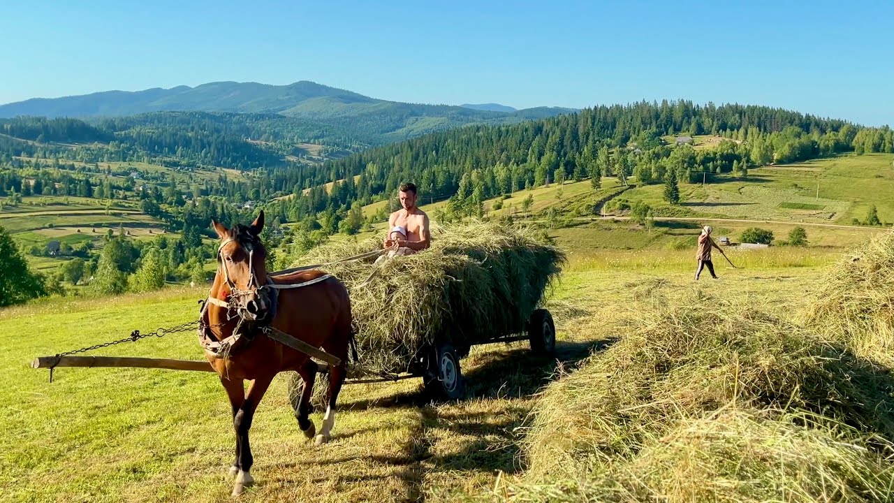 The real rhythm of simple rural life in the Carpathian Mountains