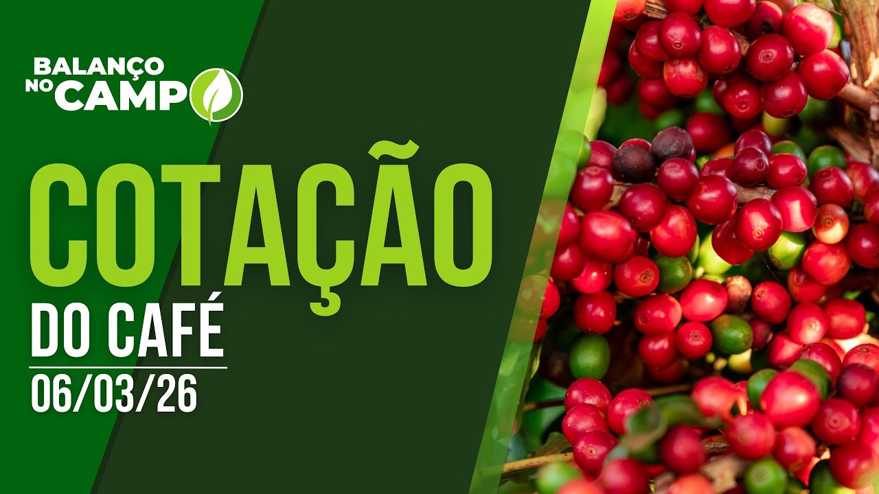 COTAÇÃO DO CAFÉ | OS VALORES DESTA SEXTA-FEIRA!