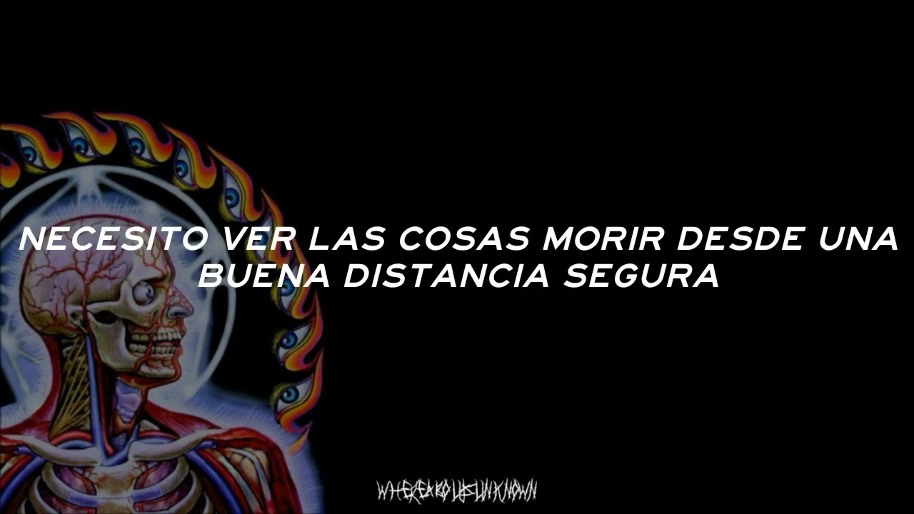 TOOL - Vicarious | Traducida Sub Español