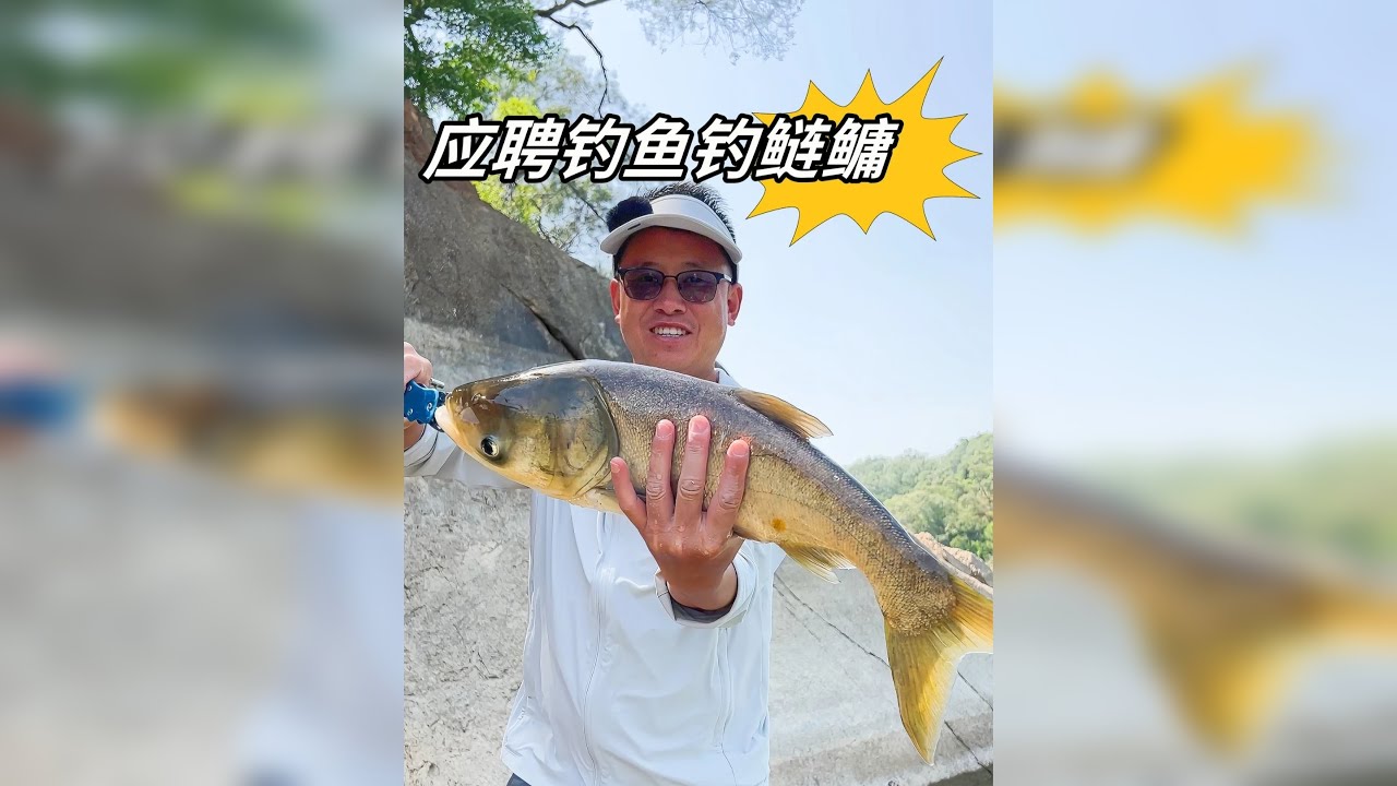 今天到这个水库应聘钓鱼工，结果鲢鳙狂拉爆护