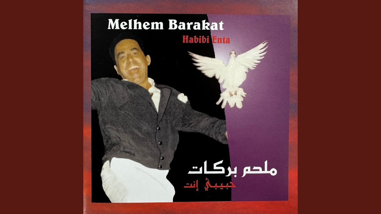 Abouha Radi