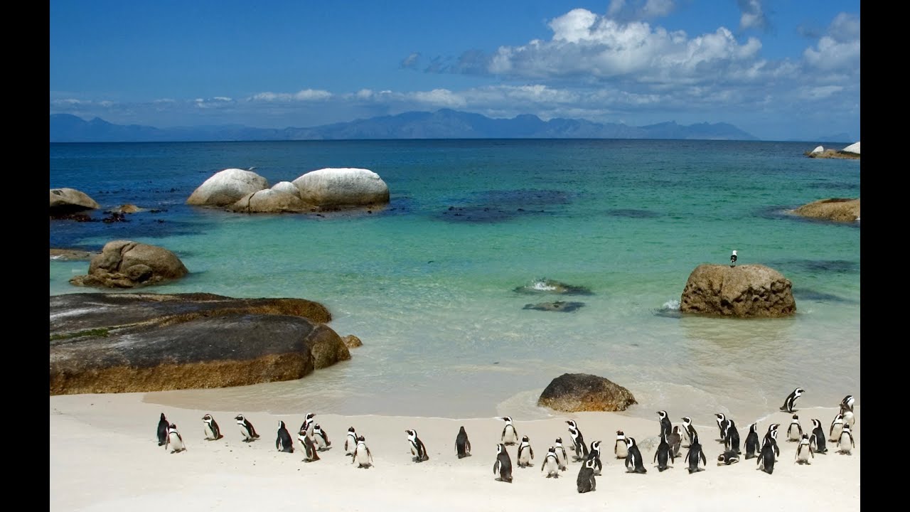 Diamentowa Konferencja ORIFLAME 2014 - Cape Town