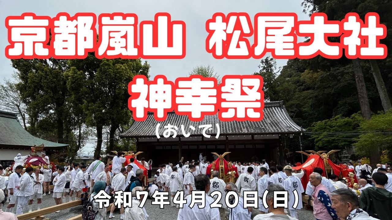 京都嵐山 松尾大社の神幸祭（おいで）令和7年4月20日（日）曇り