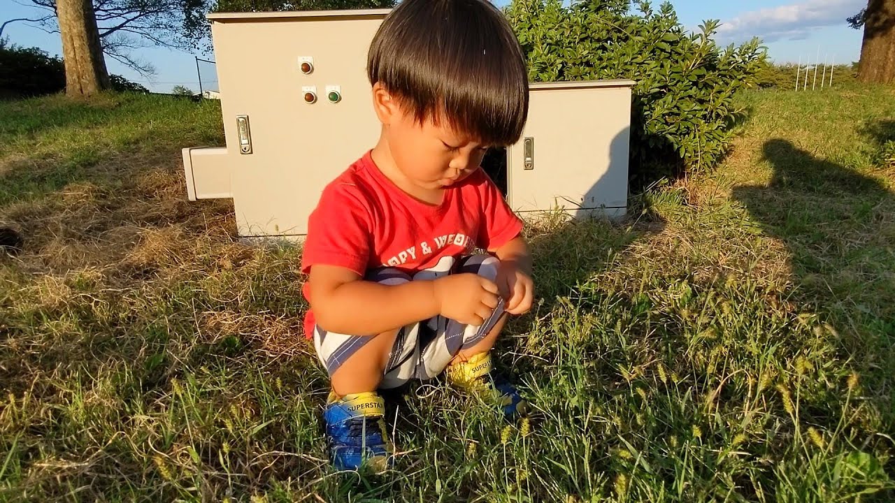 懐かしいけど歌詞が全然違うおいちゃんと何も釣れなくてイライラひなごんとママを攻撃するどんちゃん　＃1276　　ひなごんおいちゃんどんちゃん三兄弟vlog