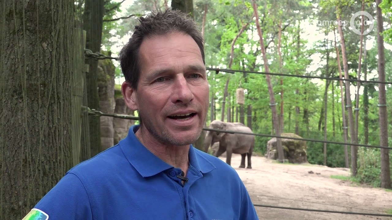 Olifant Pinky is nu alleen: 'Waarschijnlijk komt er snel een nieuw maatje'