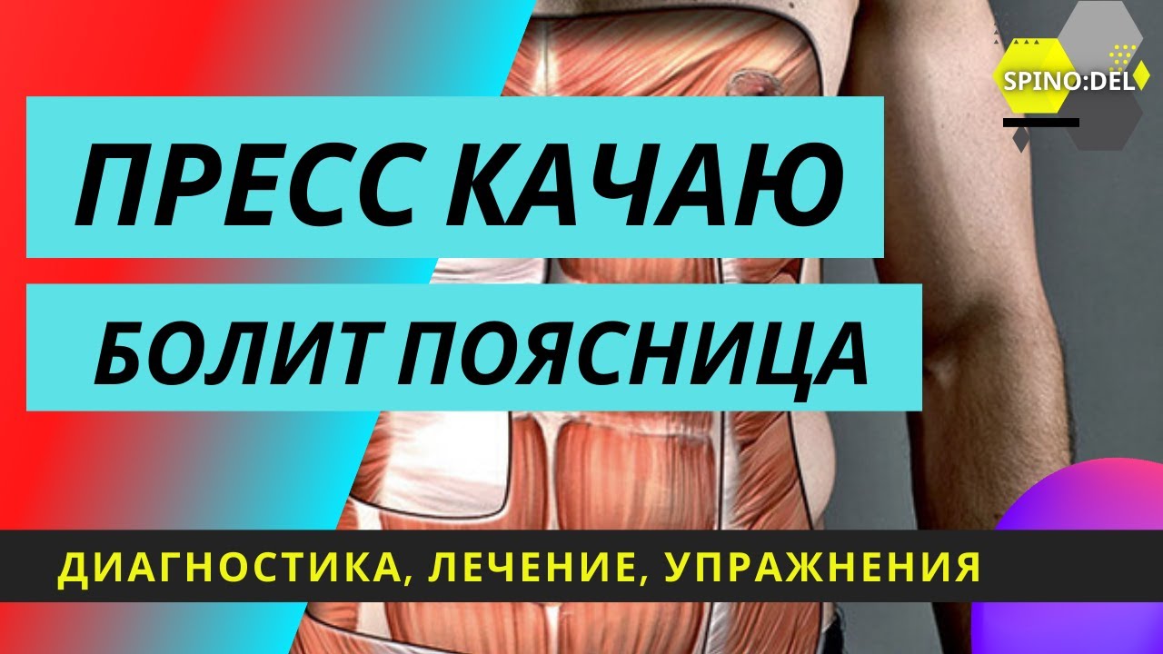 Почему может болеть поясница ? Прямая мышца живота!