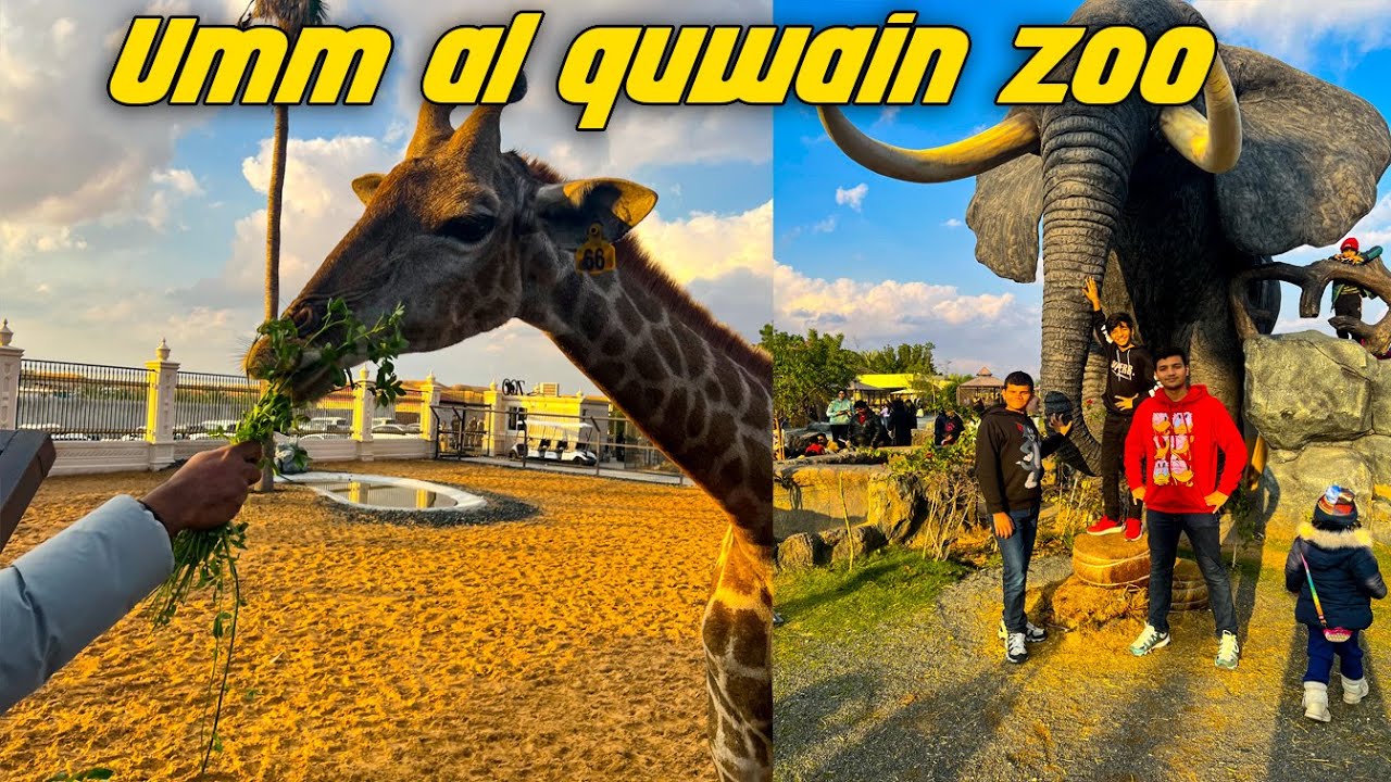 Umm Al Quwain wild life park | Zoo | UAE |