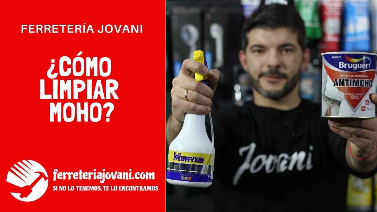 Cómo limpiar MOHO | Eliminar moho en PAREDES, TECHOS, DUCHA, TEXTIL…