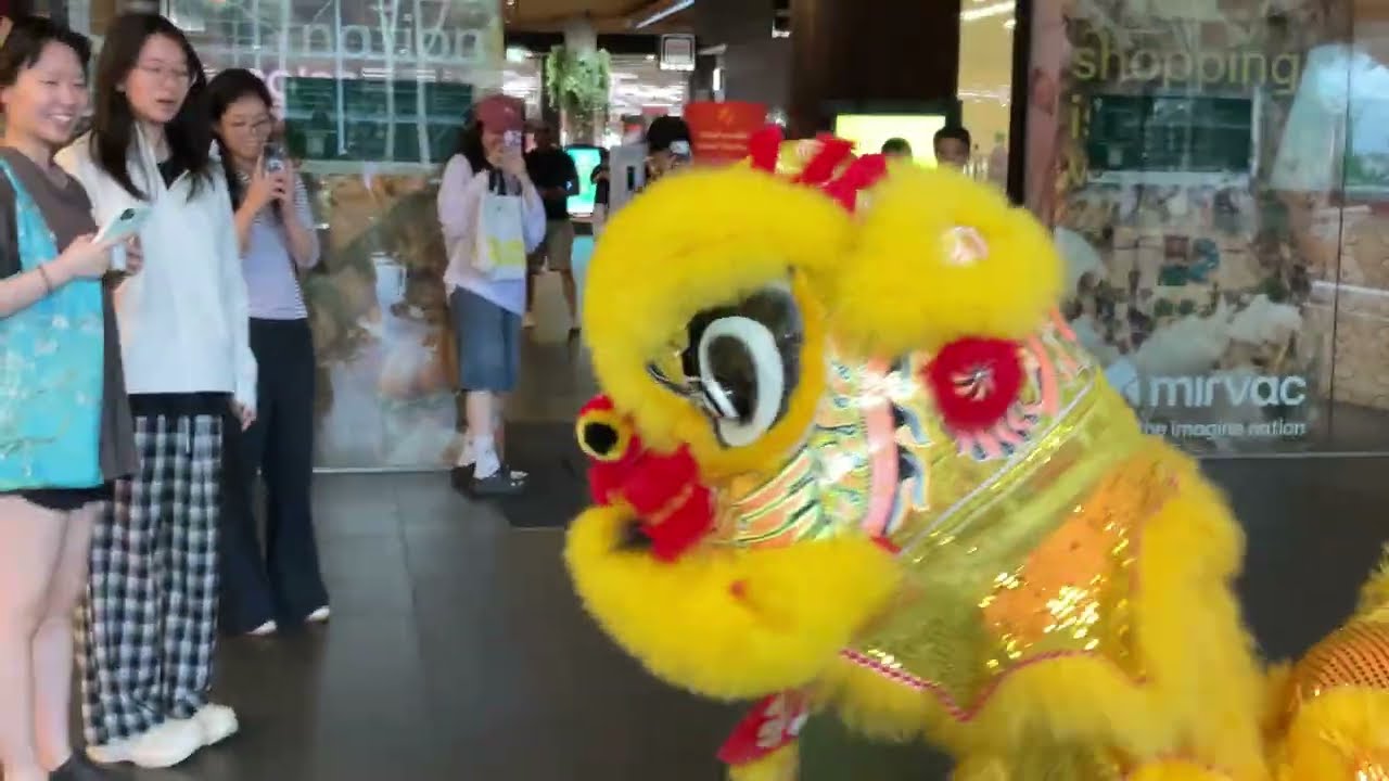 Lion Dance 🦁 Debut 💐Behind the Scene. NCY of the Fire Horse🐎 East Village Zetland. Part 4