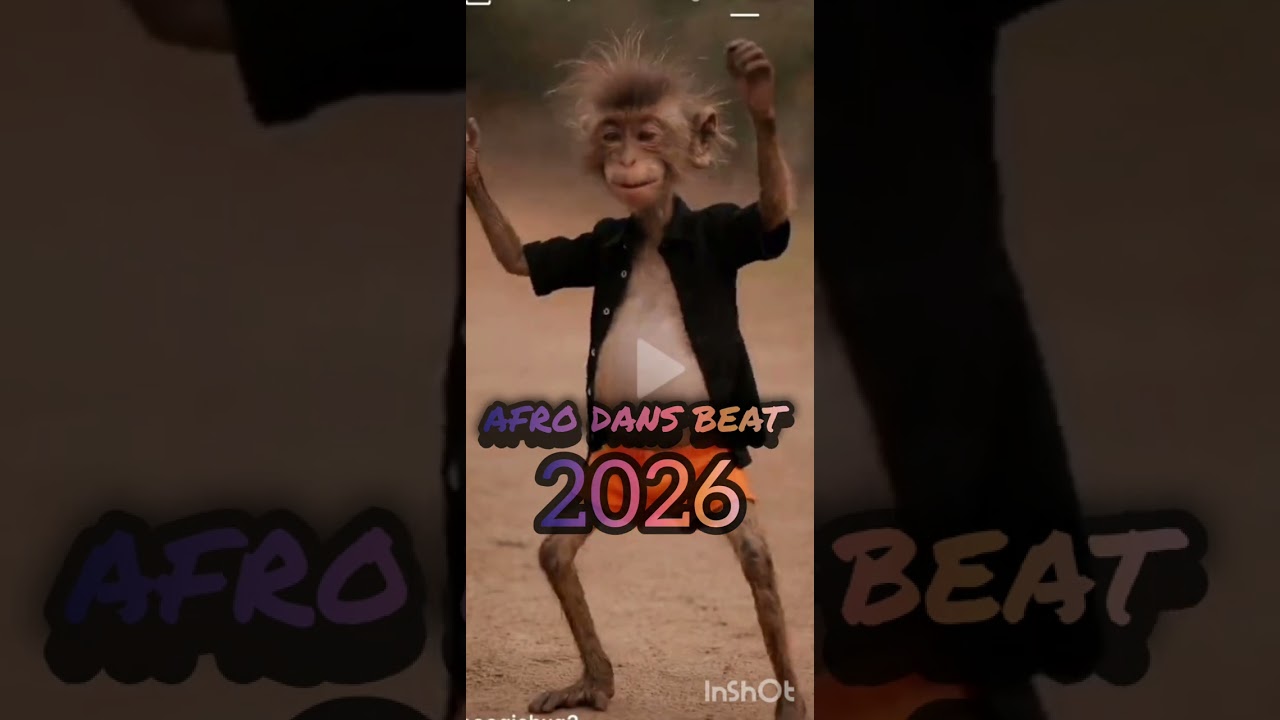 Afro dans beat 2026