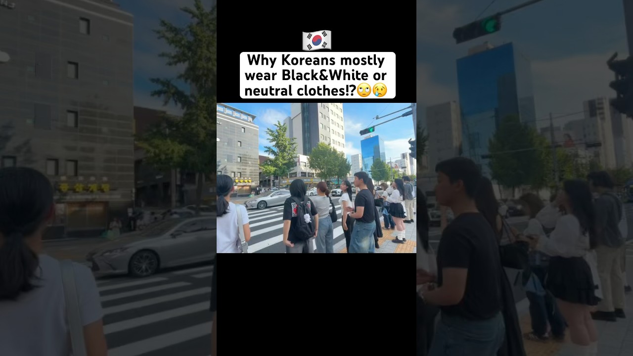 Why Koreans mostly wear Black and White clothes 🤷&zwj;♀️🇰🇷 #korea #southkorea #kdrama #kpop #korean