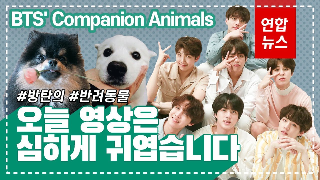 [ENG SUB] '주인 똑닮은' BTS의 반려동물은 누구? About BTS' Companion Animals / 연합뉴스 (Yonhapnews)
