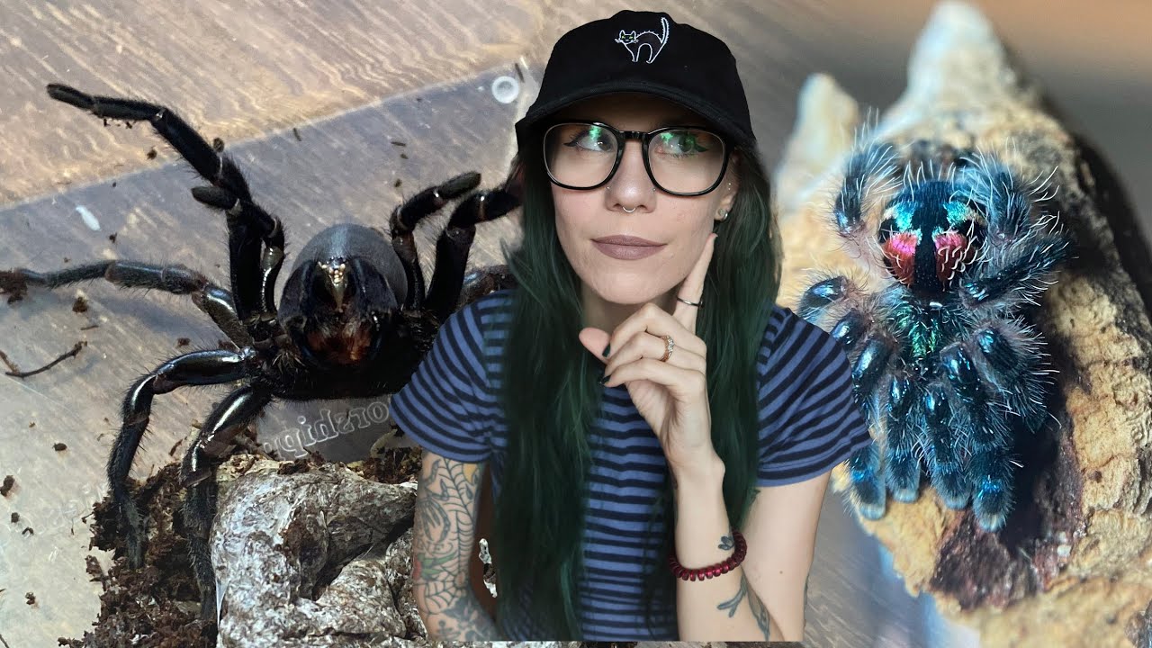 5 Inverts I DO NOT Recommend and WHY.