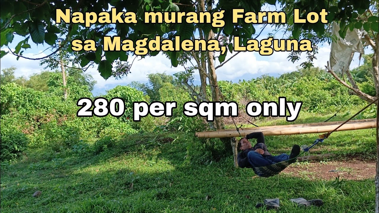(P# 781) Napakamurang Farm Lot 4.8 hectares 280 lang per sqm sa Magdalena, Laguna for sale