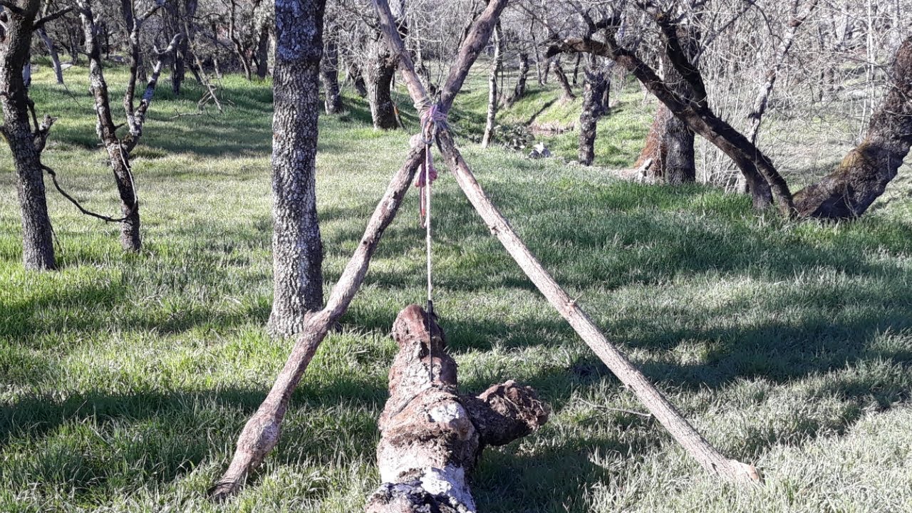 Bípode bushcraft para mover troncos pesados