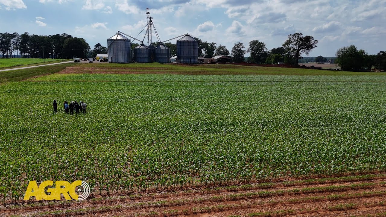 Tecnología y legado familiar: Así logran 22 toneladas de maíz en Henderson Farms (#1150 2025-08-23)