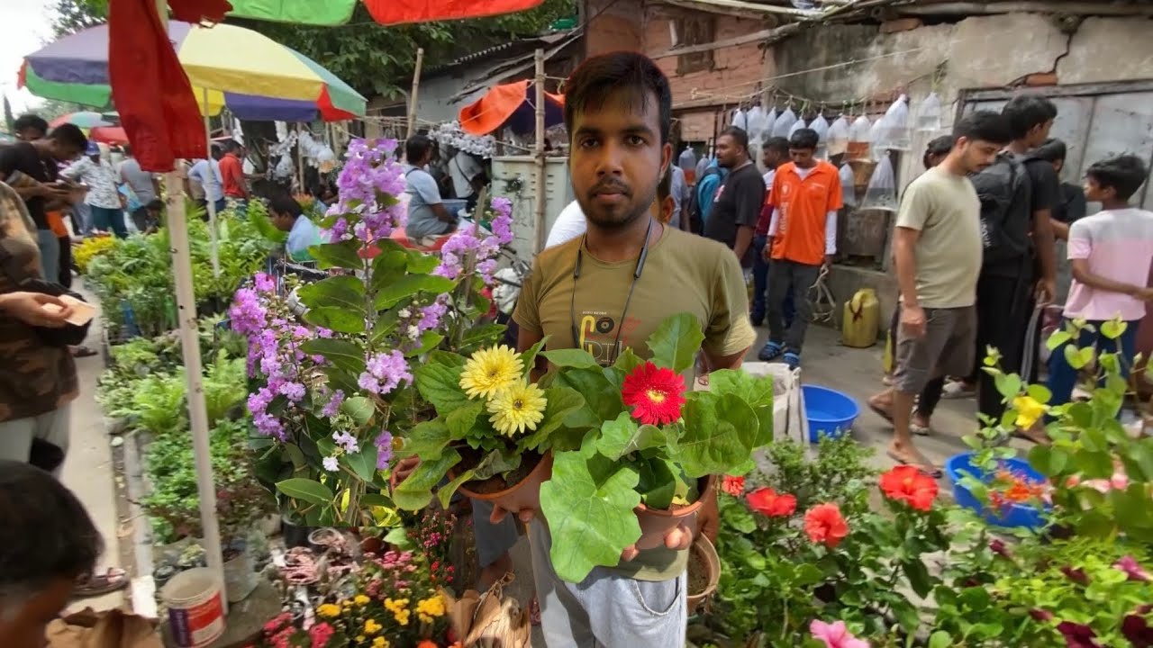 Sagardeep & Sri Krishna Nursery Plant Review at Galiff Street Market Kolkata | Best Flowers Forever