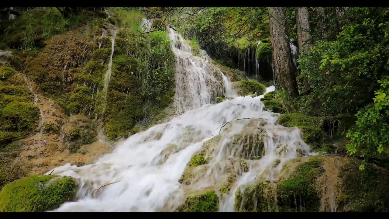 Relaxing River Stream & Waterfall Sounds | Nature Ambience for Sleep & Focus