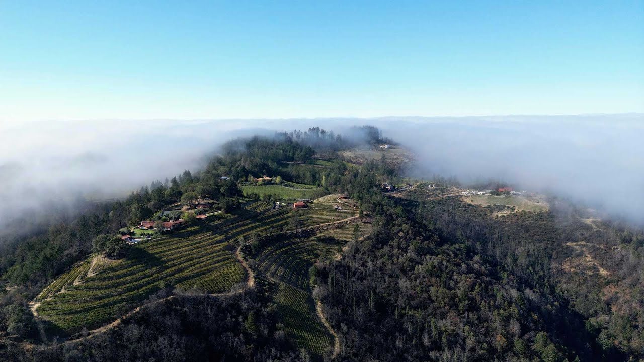 MG Concierge - Napa Valley's Premier Luxury Travel Agency and Concierge Service