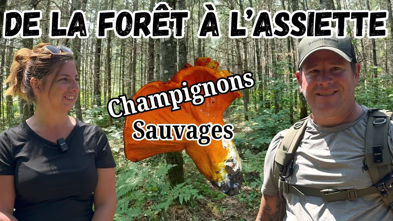 ☀️ 🍄CUEILLETTE DE CHAMPIGNONS SAUVAGES : ASTUCES, PR&Eacute;PARATION ET RECETTE EN FAMILLE! 🍽️