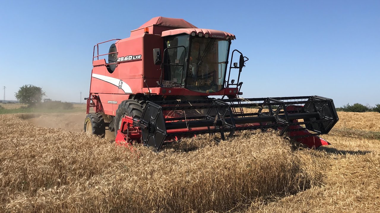 BUĞDAY HASADINA BAŞLADIK | LAVERDA 28.60 vs NEW HOLLAND 80 66