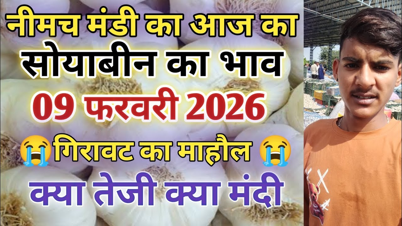 नीमच मंडी सोयाबीन भाव में तेजी Neemuch Mandi Aaj Ka bhav। Garlic rete ka bhav 09 फरवरी 2026