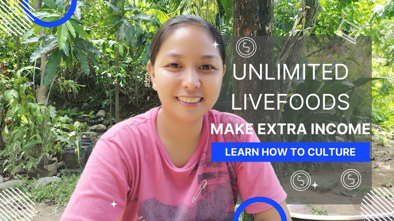 How to Multiply & Culture Live Foods Easily. Unlimited Food for Ornamental Fishes/ Make Extra Income